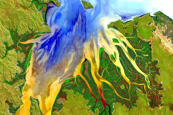 COOK GIS Viewer